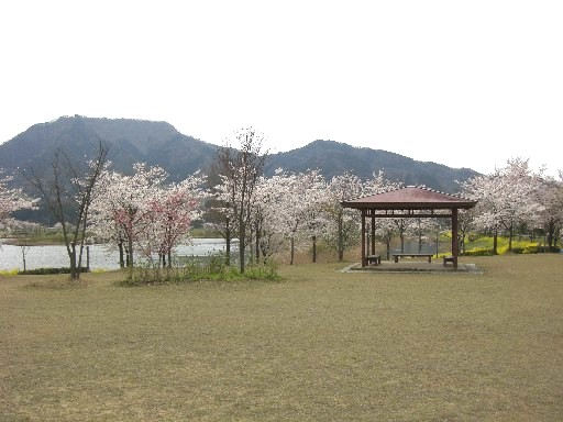 c0070086_1743785.jpg