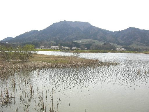 c0070086_179842.jpg