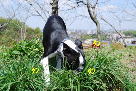 c0092787_1273218.jpg