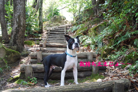 c0092787_127788.jpg