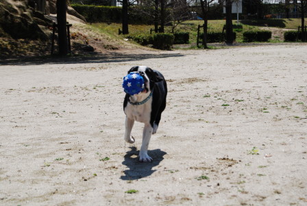 c0092787_129697.jpg