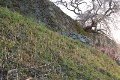 b0100489_2221449.jpg