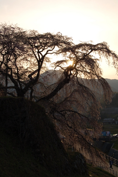 b0100489_22214550.jpg
