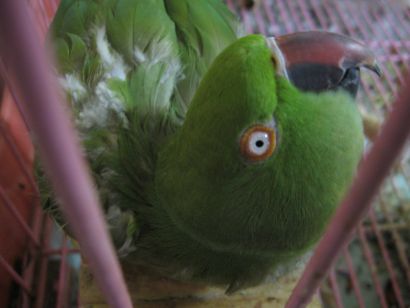 c0076490_1752014.jpg