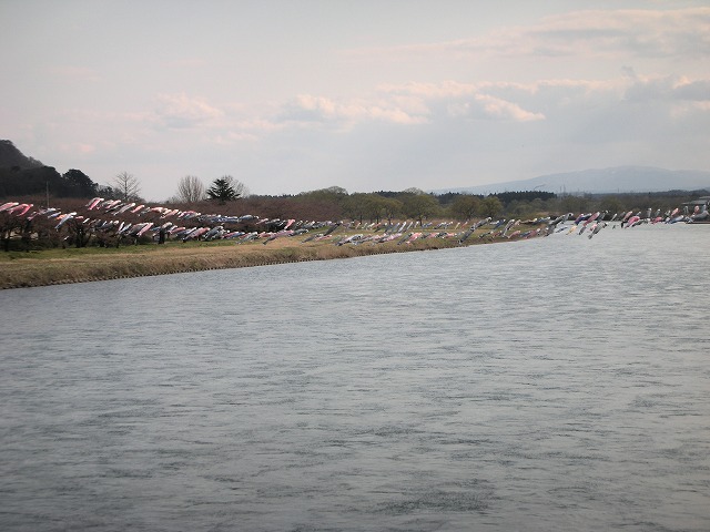 a0065294_1619712.jpg