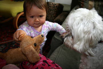 d0087194_14182723.jpg