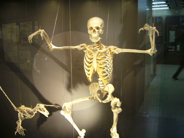 e0015108_249317.jpg
