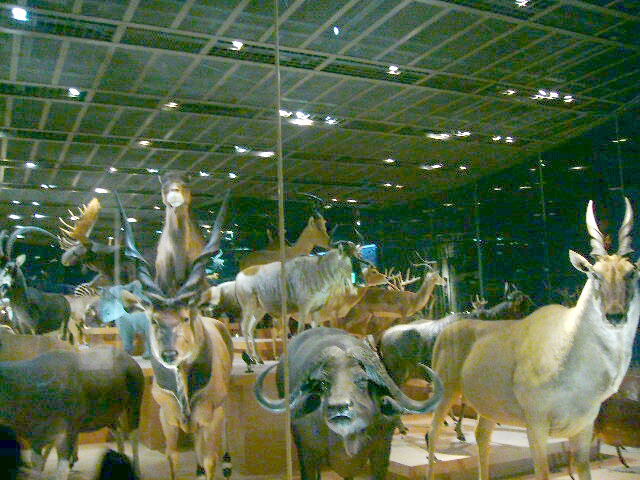 e0015108_384953.jpg