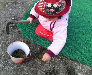 f0031013_1545278.jpg