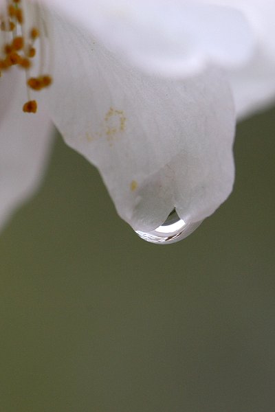 f0031423_2204459.jpg