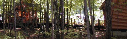 a0046429_21403472.jpg