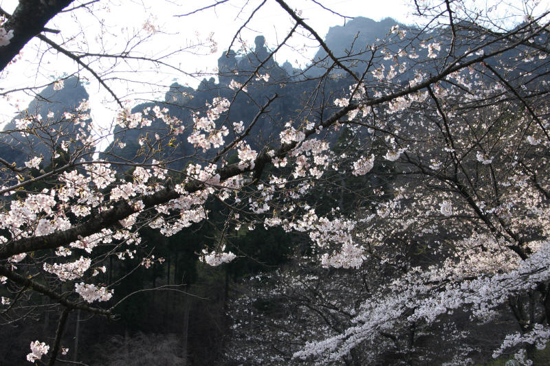 f0017530_21283251.jpg