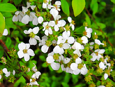 d0017632_18283128.jpg