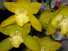 d0017632_18315574.jpg