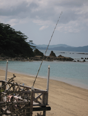 b0100637_16121444.gif