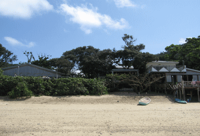 b0100637_1624113.gif