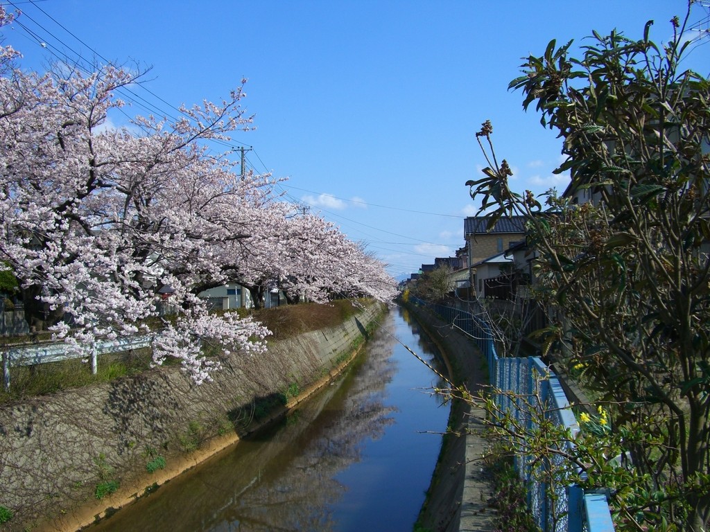 b0097145_0361525.jpg