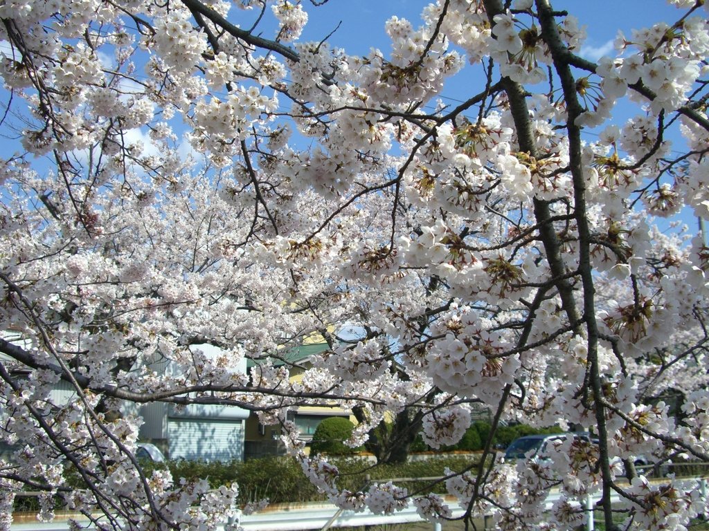 b0097145_0363457.jpg