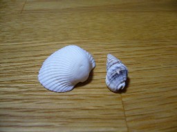 e0110047_2335678.jpg