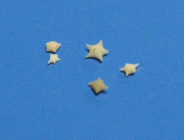 a0064260_212144.jpg