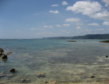 a0064260_29131.jpg