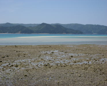 a0064260_291610.jpg