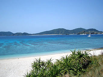 b0101263_14371537.jpg