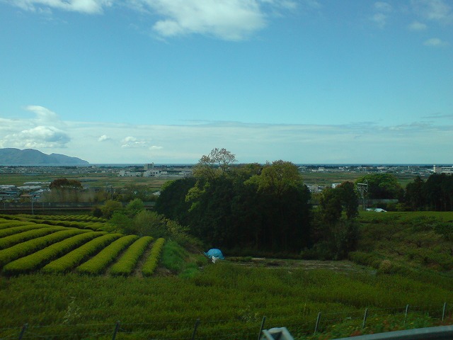 e0078069_22572937.jpg