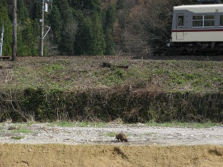 a0006371_217559.jpg