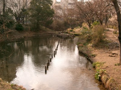 c0112172_219660.jpg