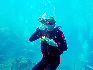c0039073_17541352.jpg