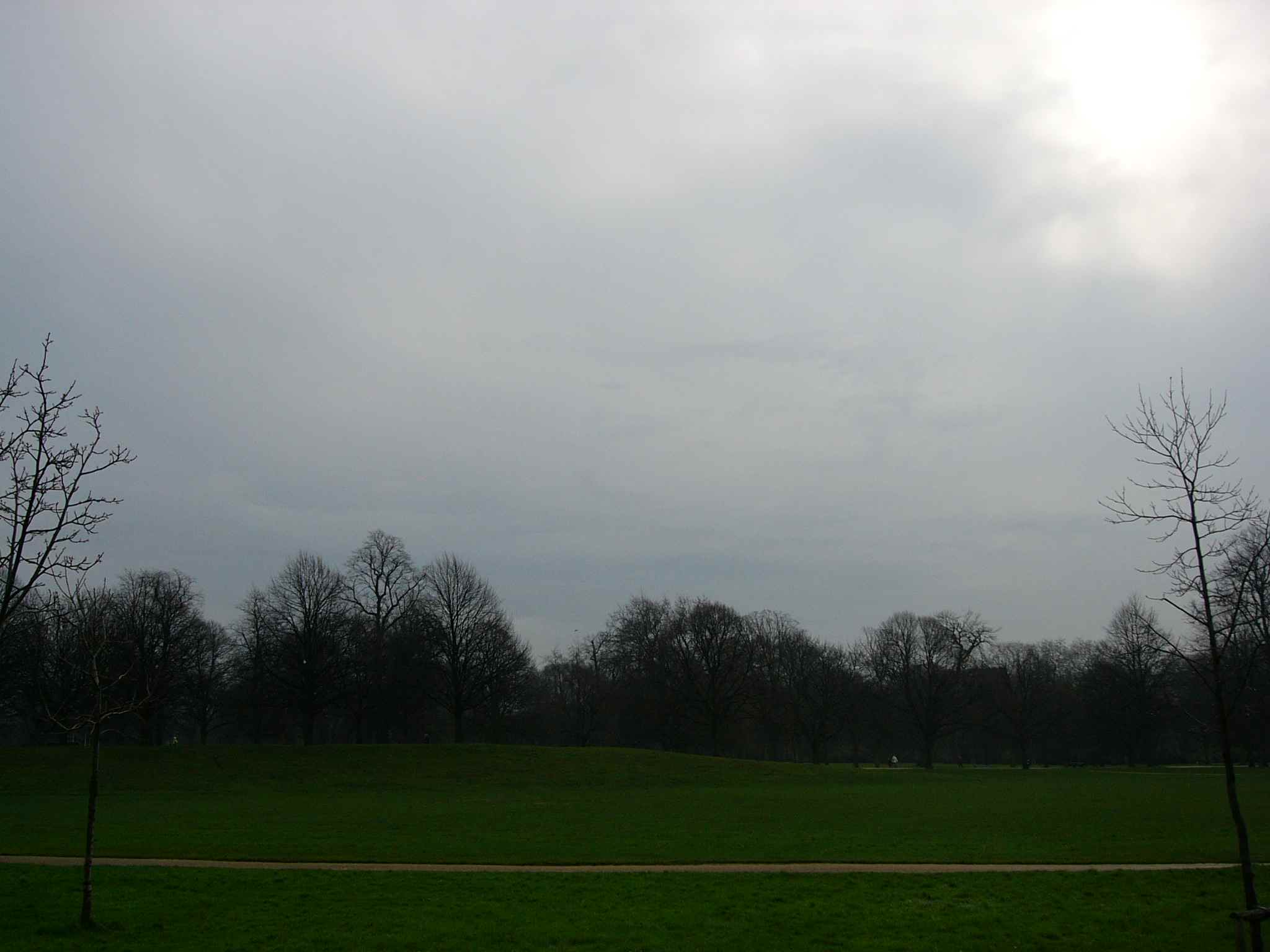 f0006980_22354484.jpg
