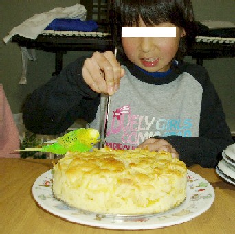 f0061283_1692678.jpg