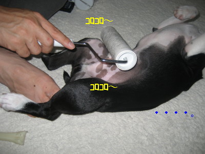c0092787_1044258.jpg