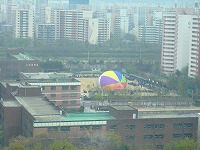 a0079990_1556577.jpg