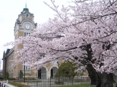 a0061594_1134144.jpg