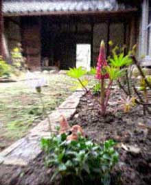 d0077603_14273250.jpg