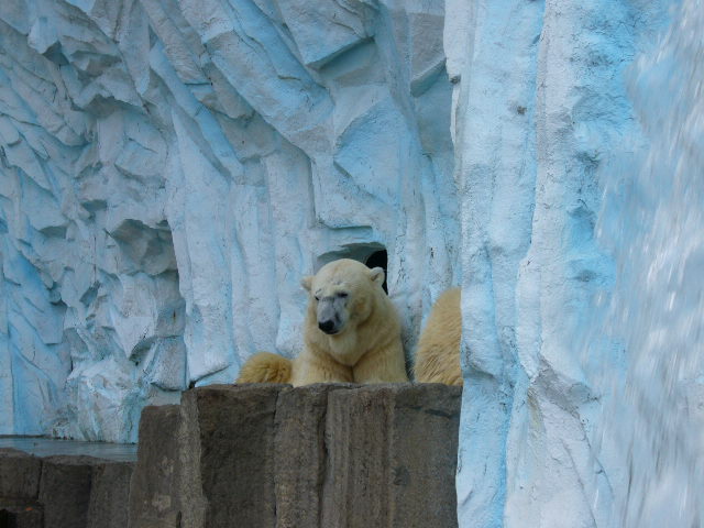 e0015108_3422222.jpg