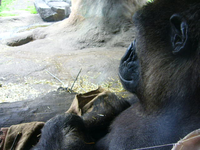 e0015108_3444614.jpg