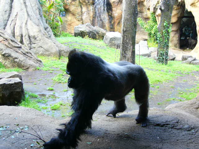 e0015108_3485449.jpg