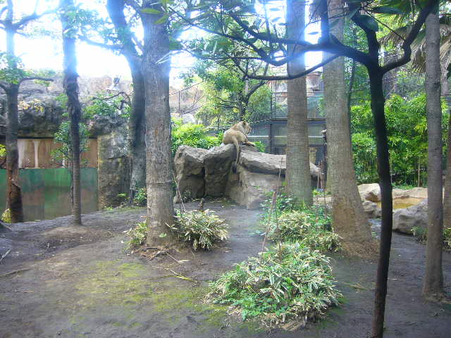 e0015108_3543662.jpg