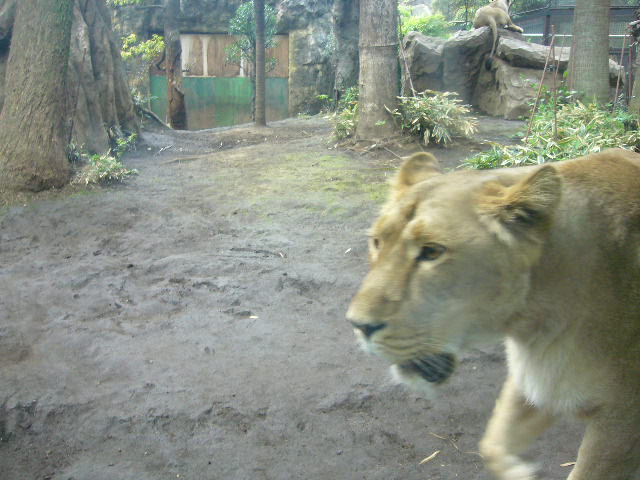 e0015108_3562386.jpg