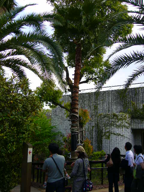 e0015108_3594149.jpg