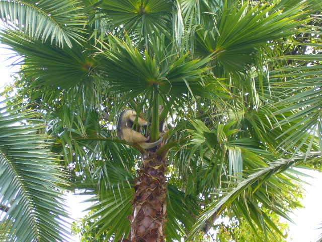 e0015108_41684.jpg
