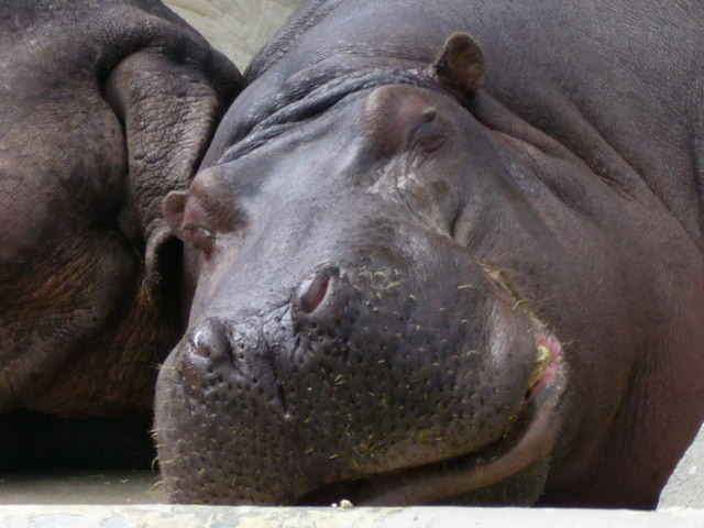 e0015108_43336.jpg