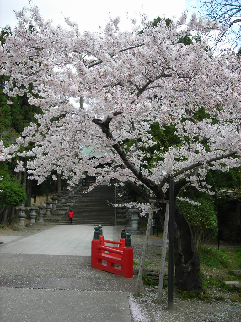 a0030217_18353538.jpg