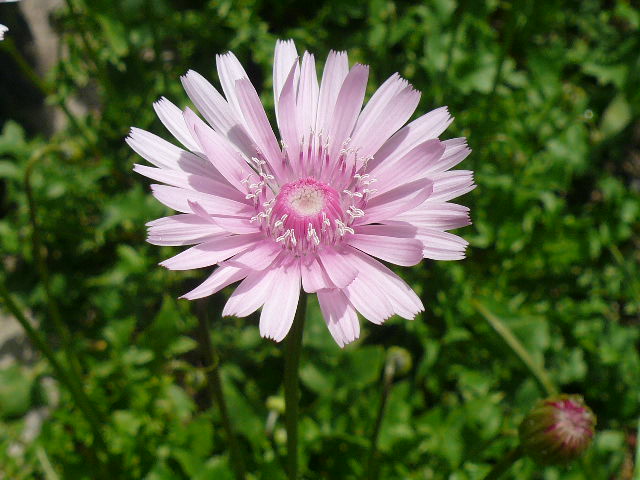 e0026017_22412122.jpg