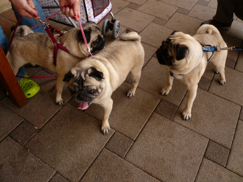 f0128821_23385225.jpg