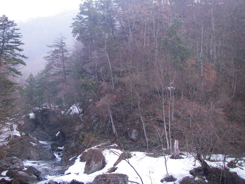 b0062024_191116.jpg