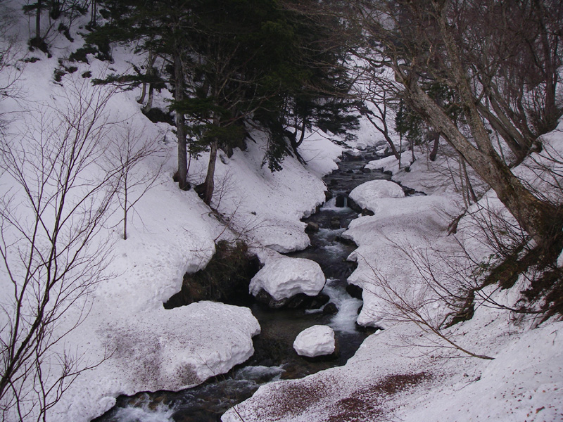 b0062024_1925621.jpg